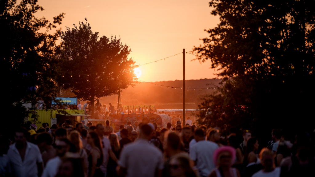 Dreamfields Festival